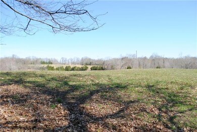 From the back property line.