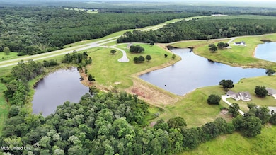 Lot 22 Gracies Way, Lucedale, MS 39452 - photo 6