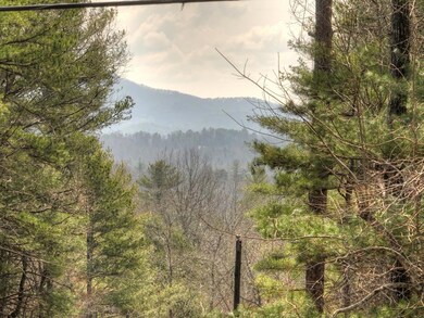 65 Weoka Ct, Ellijay, GA 30540 - photo 4