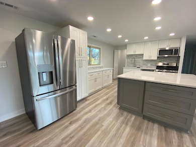 unlisted-address, Schaumburg, IL 60193 - photo 4