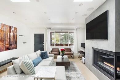 450 S Original St unit 8, Aspen, CO 81611 - photo 3