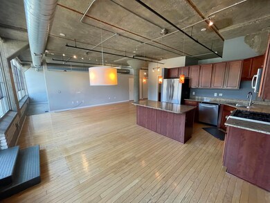 Liberty Lofts Condos unit 212, Ann Arbor, MI 48103 - photo 3