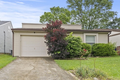 2-web-or-mls-DSC06856
