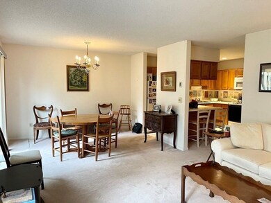 202 Fairway Village, Leeds, MA 01053 - photo 5