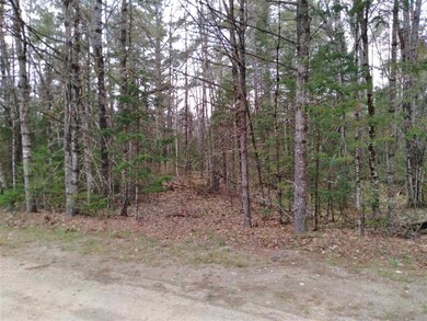Lot 14 Partridge Berry Cir, Tuftonboro, NH 03254 - photo 2