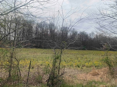 00 Works Rd, Crutchfield, KY 42041 - photo 6