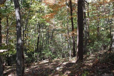 Native bushes and hardwoods