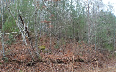 Additional View