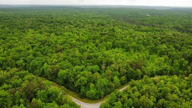 lot # 16 Laurel Loop, Monterey, TN 38574 - photo 4