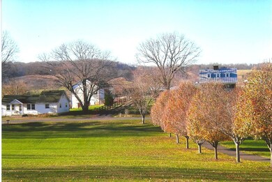 front yard fall view