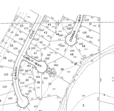 4394 Donna Way, Lithonia, GA 30038 - photo 3