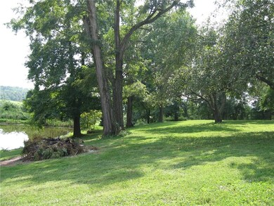 Lots of shade trees in back yard