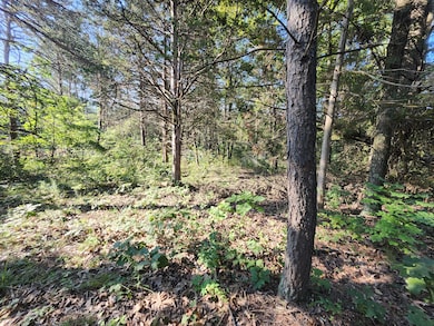 0 Mystic Mountain Blvd unit 24496664, Delray, WV 26714 - photo 7