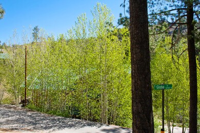 Aspen Grove
