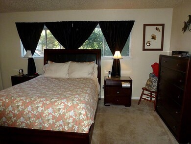 14 Blue Fox Ct, Spring, TX 77380 - photo 7