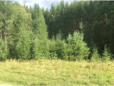 0 Hudson Rd, Saint Johnsbury, VT 05819 - photo 5