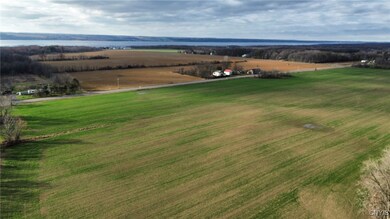 0 New York 96a, Romulus, NY 14541 - photo 3