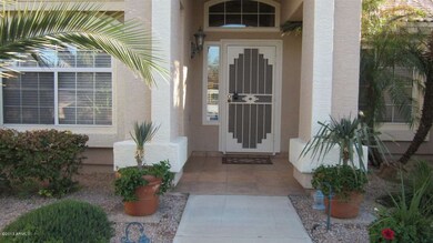 Lights  to the front door