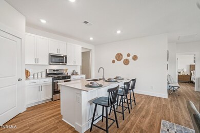 80 Ollie St, Johnson City, TN 37615 - photo 6