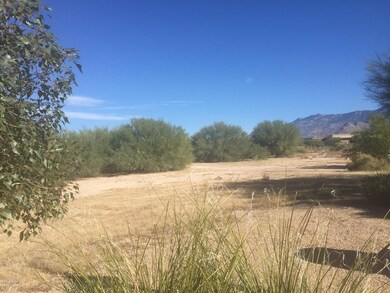 Lot 7 Mercado Del Rio unit 7, Tucson, AZ 85737 - photo 3