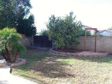 back yard