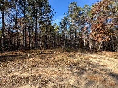 1151 Buckhead Dr, Tignall, GA 30668 - photo 5