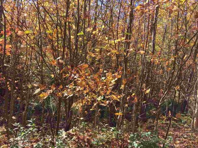 0 Brooks Rd, Northfield, VT 05663 - photo 2