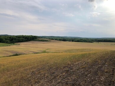 IMG_2515