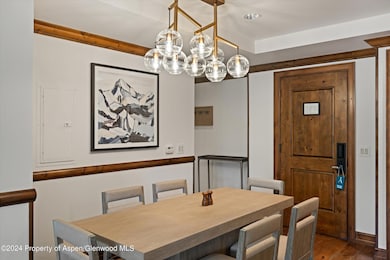 415 E Dean St Unit 15 Week 5, Aspen, CO 81611 - photo 6