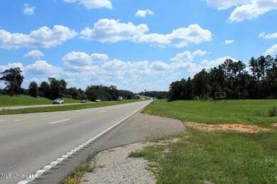 10.7 Acres Highway 98, Lucedale, MS 39452 - photo 4