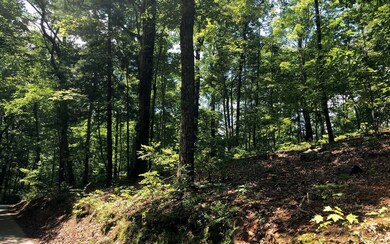 Additional View