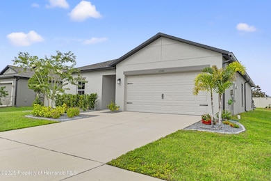 2-web-or-mls-DSC05014