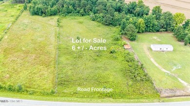 0 Suttontown Rd, Newton Grove, NC 28366 - photo 2