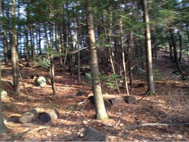 Snowmobile trail