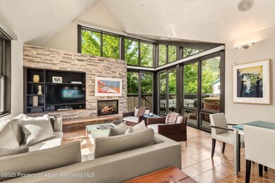 939 E Cooper Ave unit B, Aspen, CO 81611 - photo 4