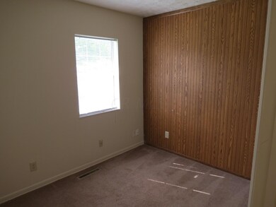 156 evergreen (16)