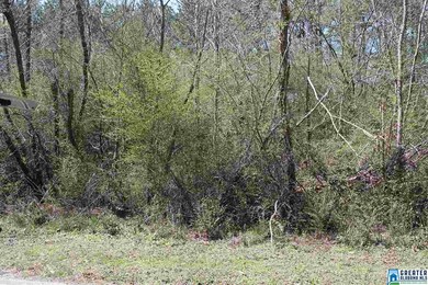 00 Clarendon Rd unit lot 61, Cullman, AL 35057 - photo 2