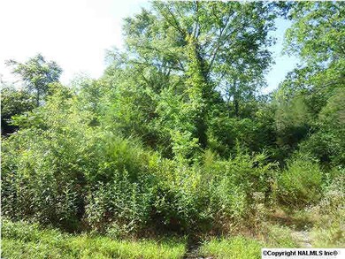 0 Hurd Rd, Prospect, TN 38477 - photo 6