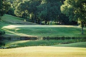 39109 Cedar Trail, Whitney, TX 76692 - photo 3