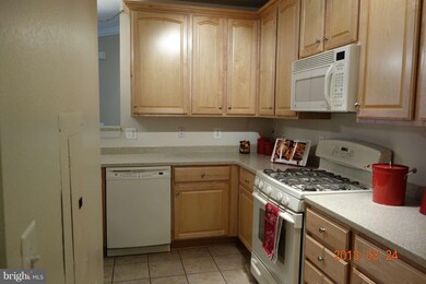 13101 Marcey Creek Rd unit 13101, Herndon, VA 20171 - photo 6