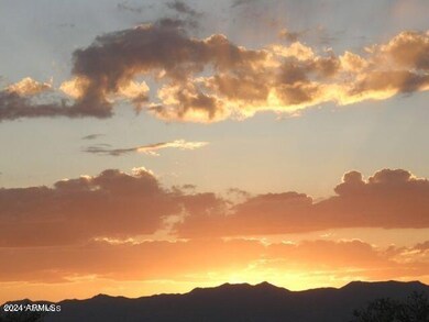 E268 E Tom Jeffords Dr unit LOT 68, Saint David, AZ 85630 - photo 7