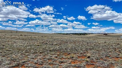 705 Rhyolite Dr, Como, CO 80456 - photo 4