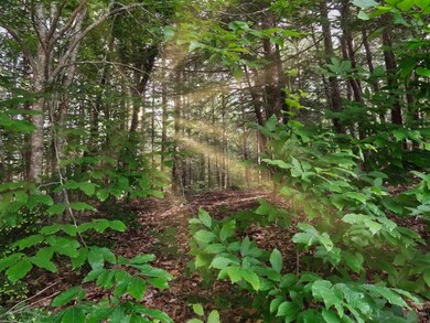 0 Lower Waldron unit 39 4697655, Meredith, NH 03253 - photo 5