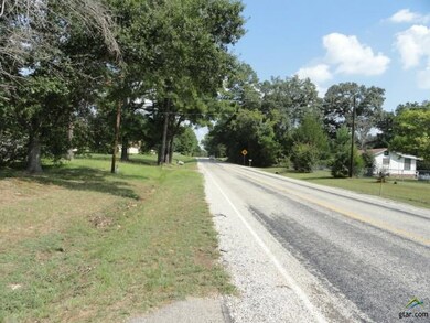 20513 Farm To Market Road 850, Arp, TX 75750 - photo 7