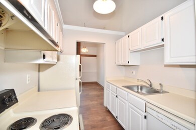 Classical High Condominiums unit 213, Springfield, MA 01103 - photo 3
