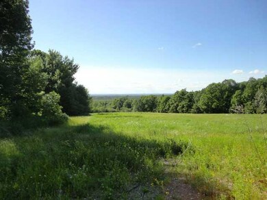 View. BACK YARD VIEW