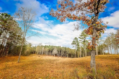 26 AC Cr 3103, Winona, TX 75792 - photo 3