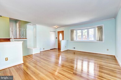 10213 Conover Dr, Silver Spring, MD 20902 - photo 4