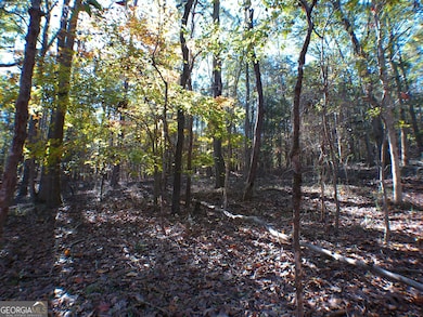 0 Dusty Rd unit 10569563, Bowman, GA 30624 - photo 4