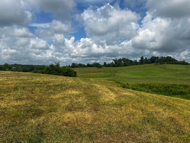IMG_6929